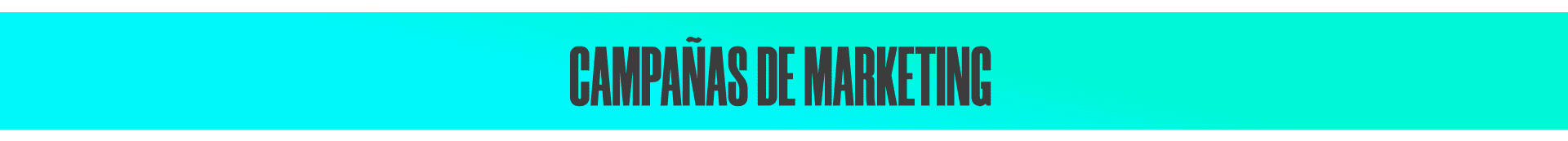 Campañas de Marketing Digital Personalizadas en México