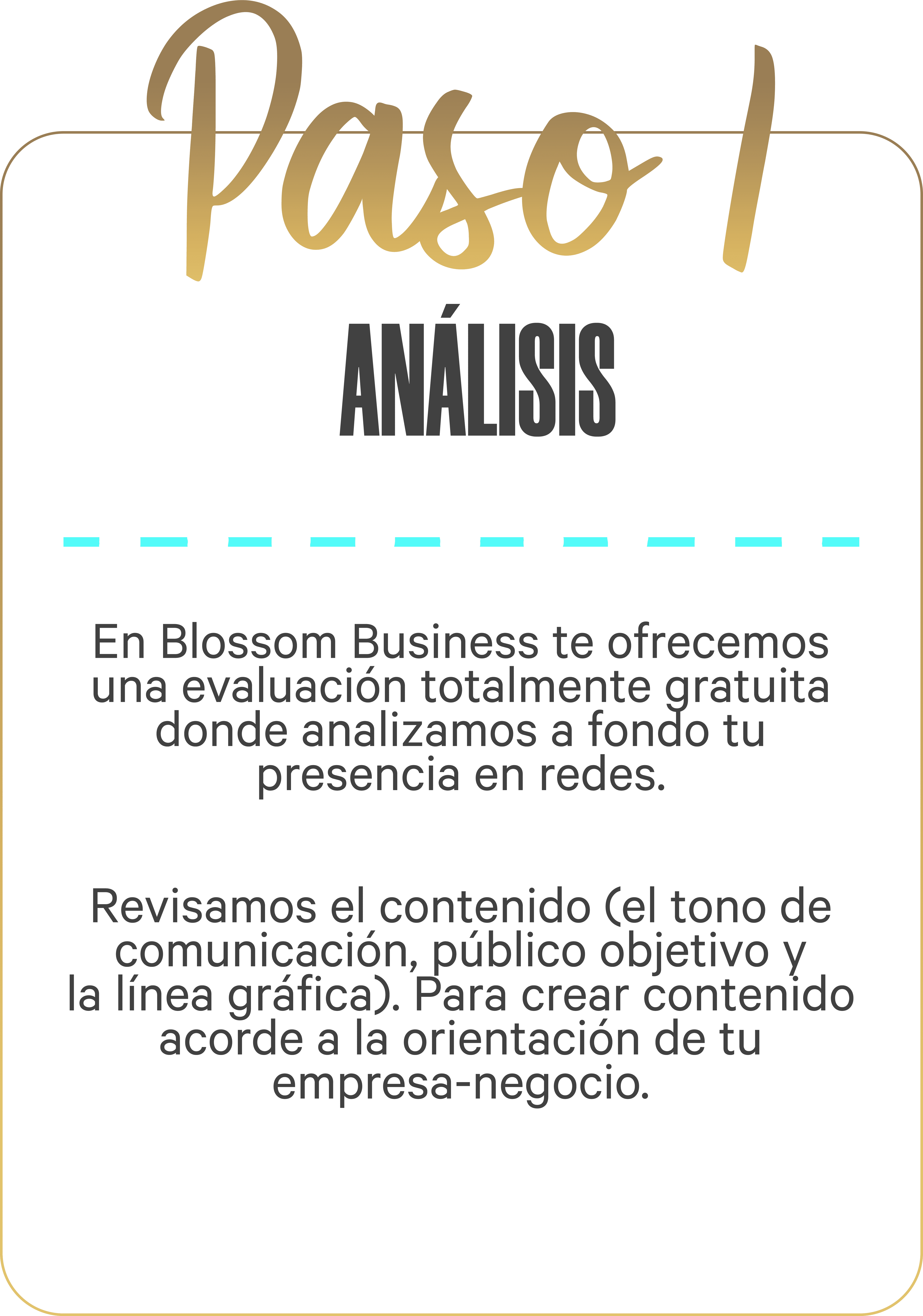 MANEJO REDES MEXICO PRECIOS